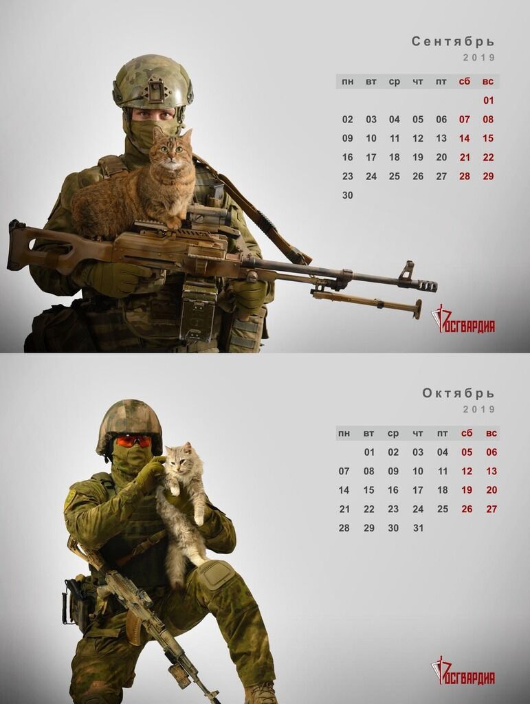 Вспомнили воровство Крыма? В России выпустили календарь с "вежливыми человечками" и котиками