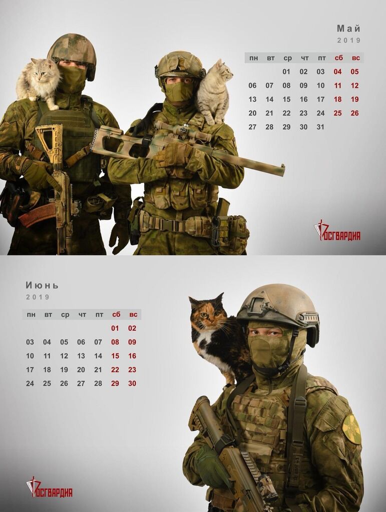 У РФ випустили календар із "ввічливими чоловічками" і котиками