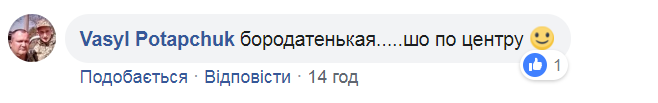 Терористки з Пушилін Денис Володимирович