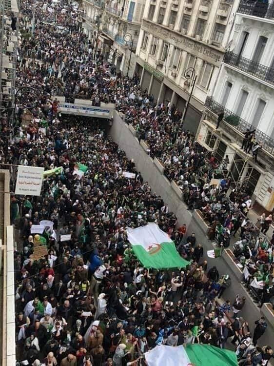 В Алжирі пройшла найбільша в історії акція протесту: неймовірні фото та відео