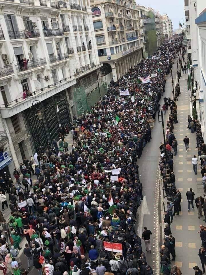 В Алжире прошла крупнейшая в истории акция протеста: невероятные фото и видео