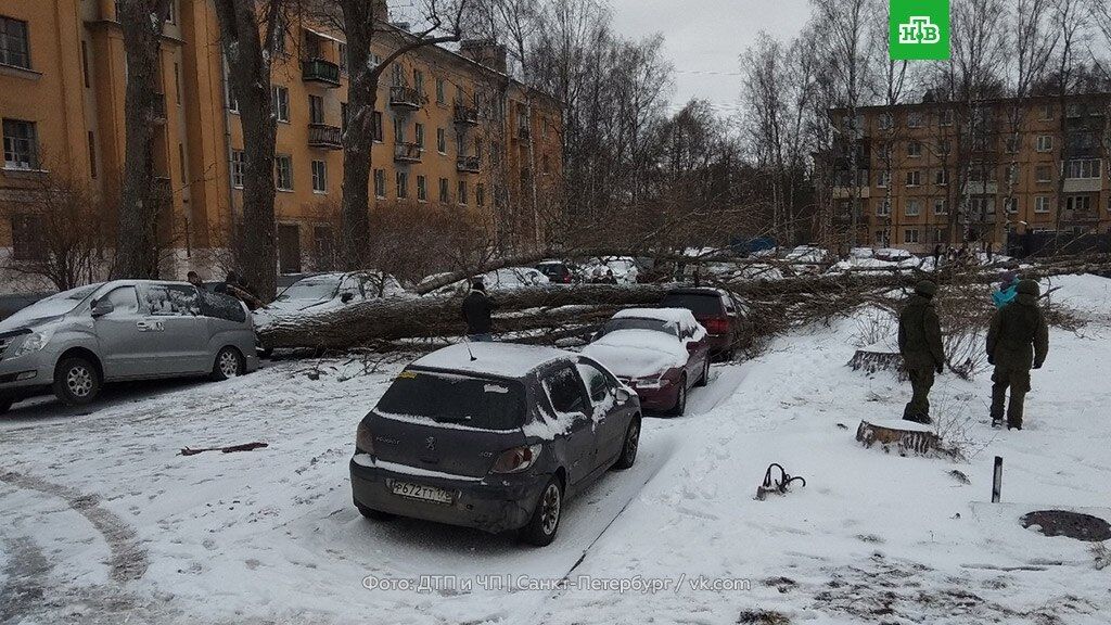 Негода в Санкт-Петербурзі