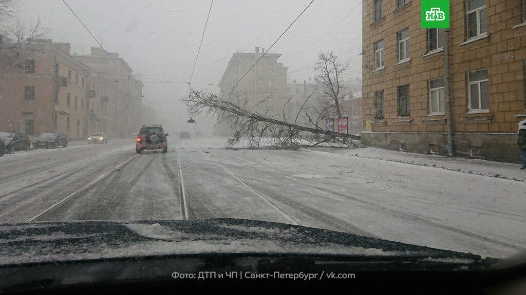 Негода в Санкт-Петербурзі