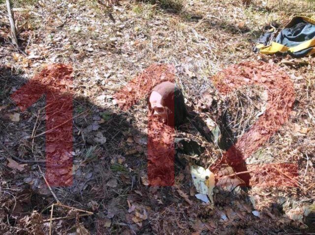 Был прикован к дереву 2 года: в России нашли скелет туриста-экстремала