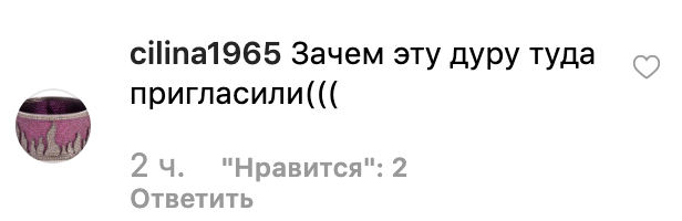 "Задолбала, курица!" Волочкова разозлила сеть выходкой на концерте у Пугачевой