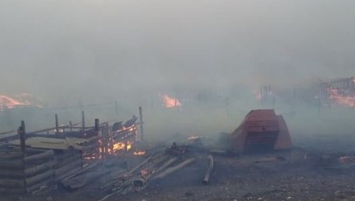 Десятки згоріли заживо: частину Росії охопила  пекельна пожежа. Фото і відео стихії