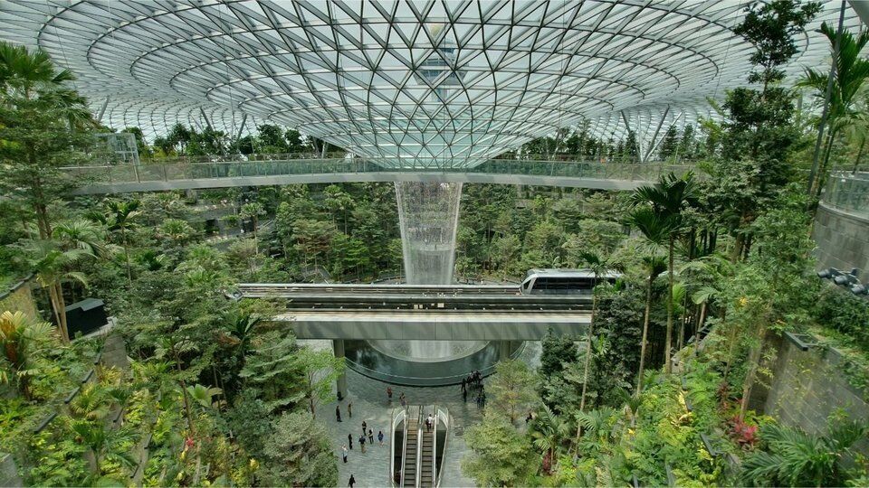 Аэропорт в Сингапуре поразил сеть: что в нем необычного