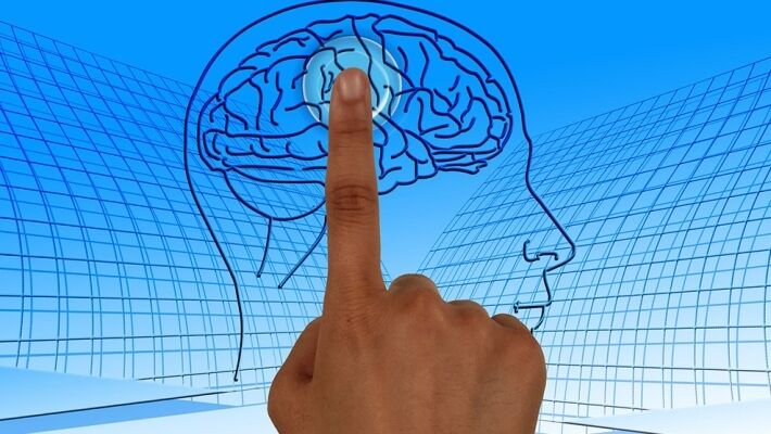 Интересные факты о мозге 