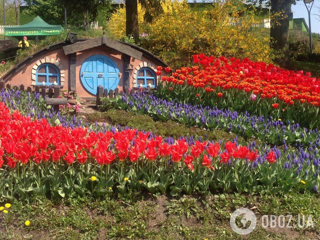 В Киеве открылась ежегодная выставка тюльпанов: яркие фото