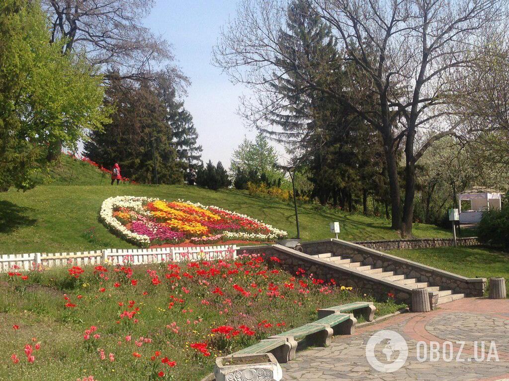 У Києві відкрилася щорічна виставка тюльпанів: яскраві фото