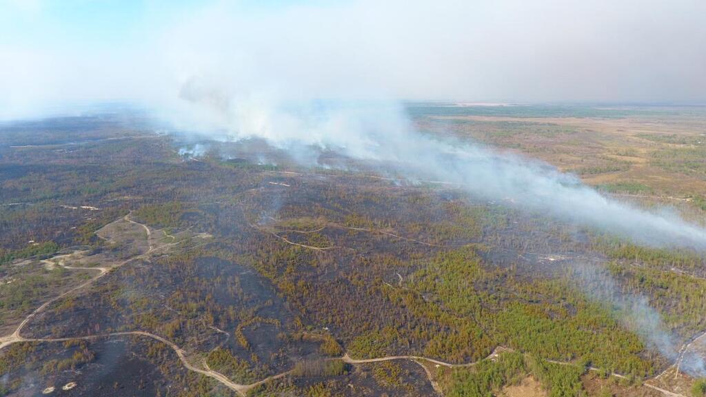 Пожежа з Білорусі підібралася до України