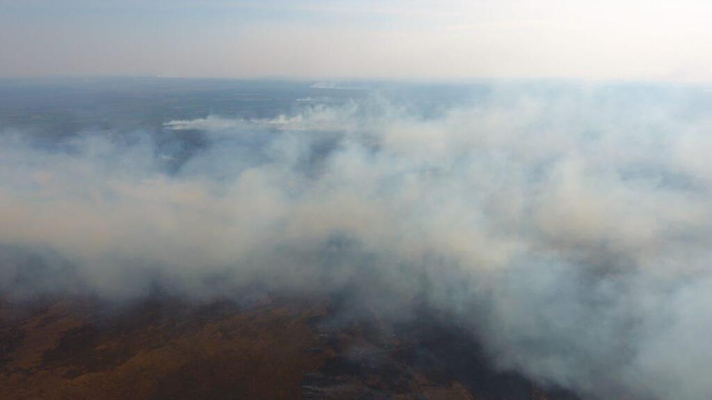 Пожежа з Білорусі підібралася до України