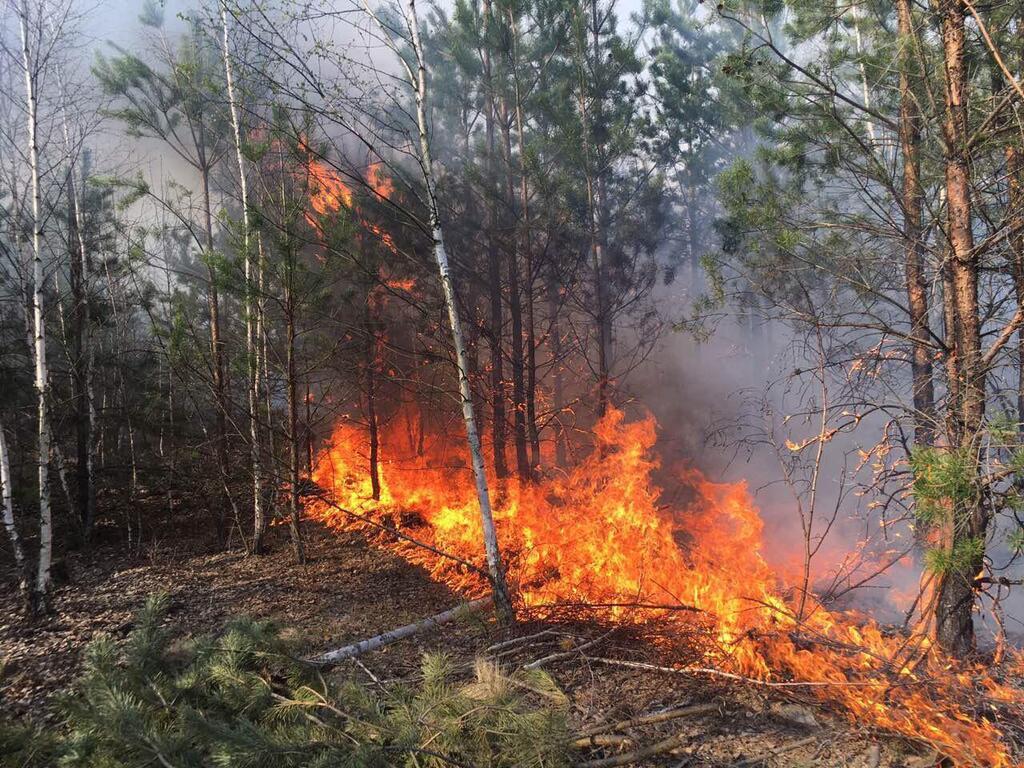 Пожежа з Білорусі підібралася до України