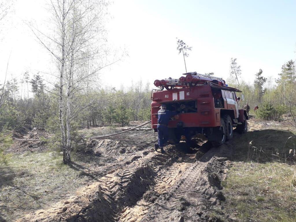 Пожежа з Білорусі підібралася до України