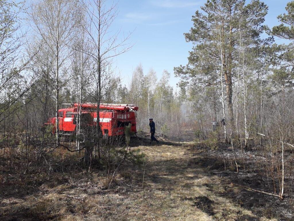 Пожежа з Білорусі підібралася до України