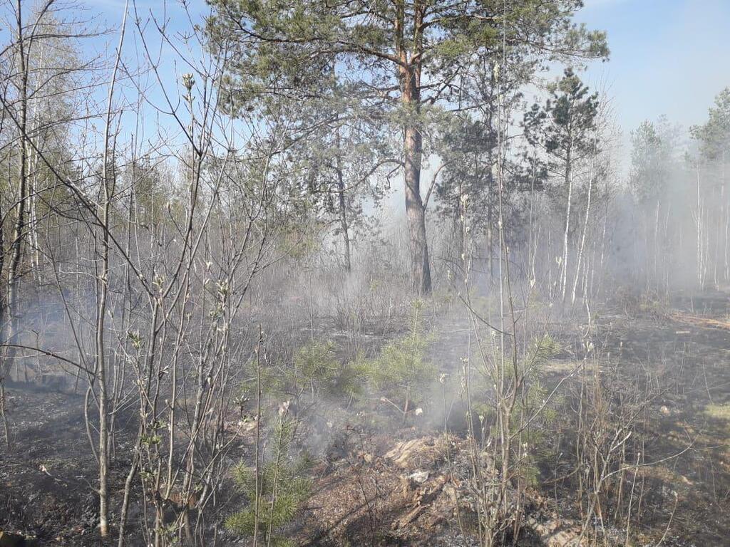 Пожежа з Білорусі підібралася до України