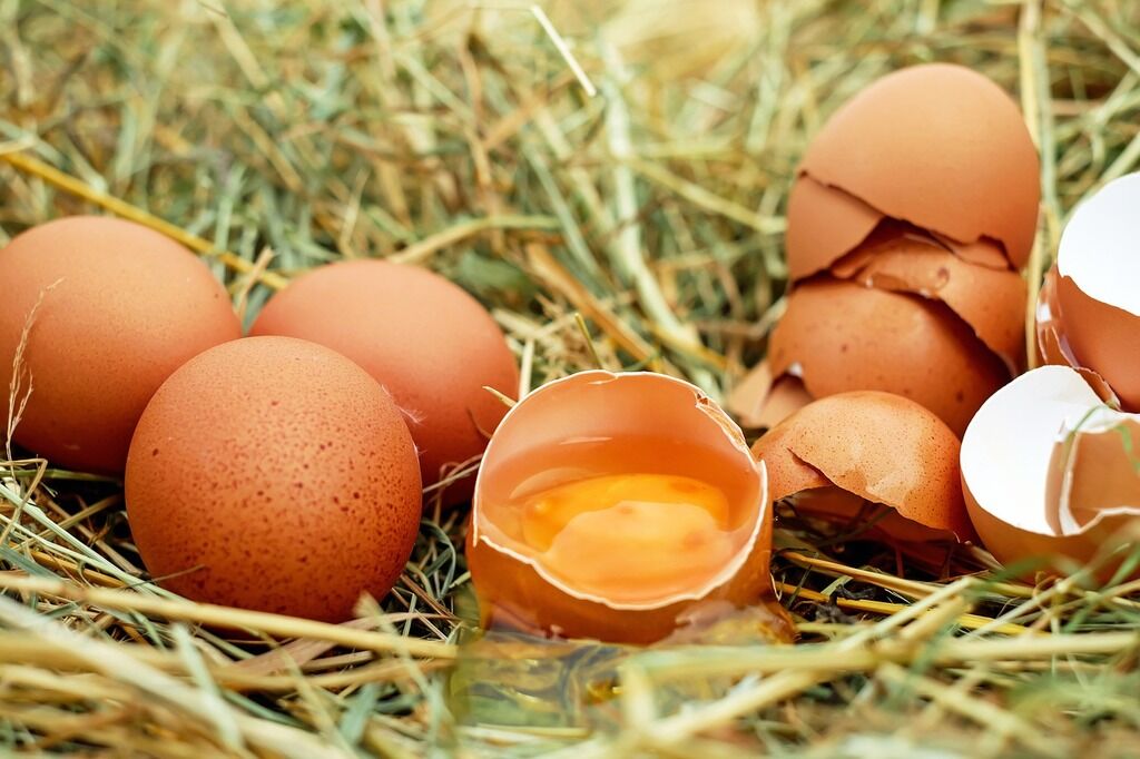 Як зварити яйце з жовтком вашої мрії