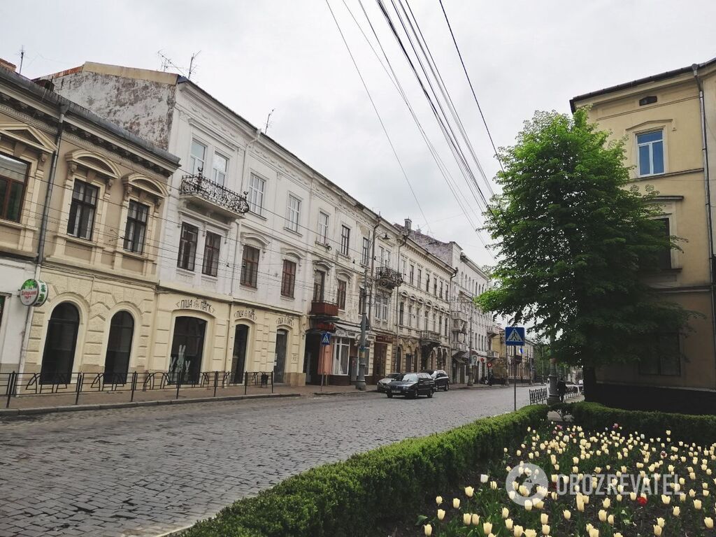 Квітучі сакури і храми: з'явилися зачаровуючі фото весняних Чернівців