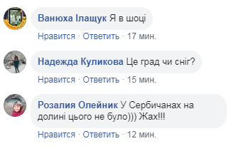 "Я в шоке": в Черновицкой области внезапно выпал снег. Фото