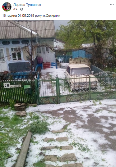 "Я в шоці": в Чернівецькій області раптово випав сніг. Фото