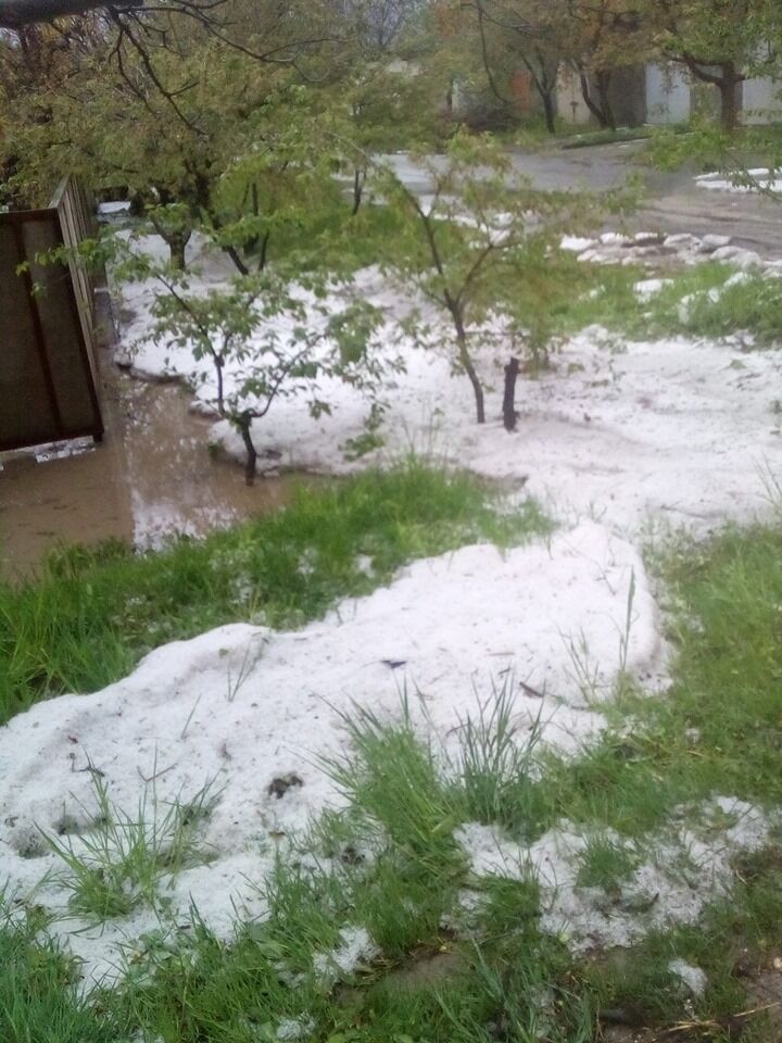"Я в шоке": в Черновицкой области внезапно выпал снег. Фото