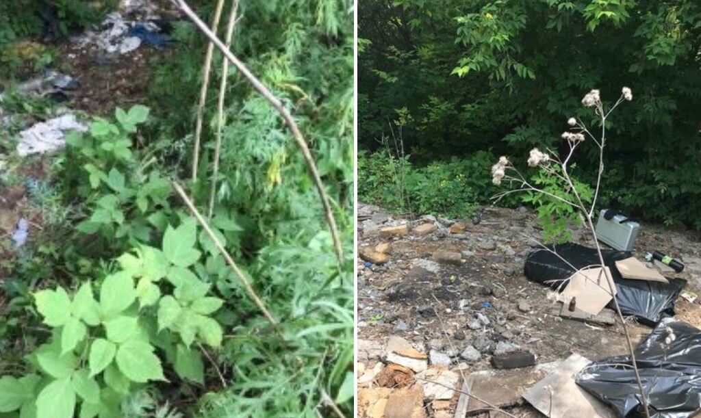 В России изнасиловали и убили девочку