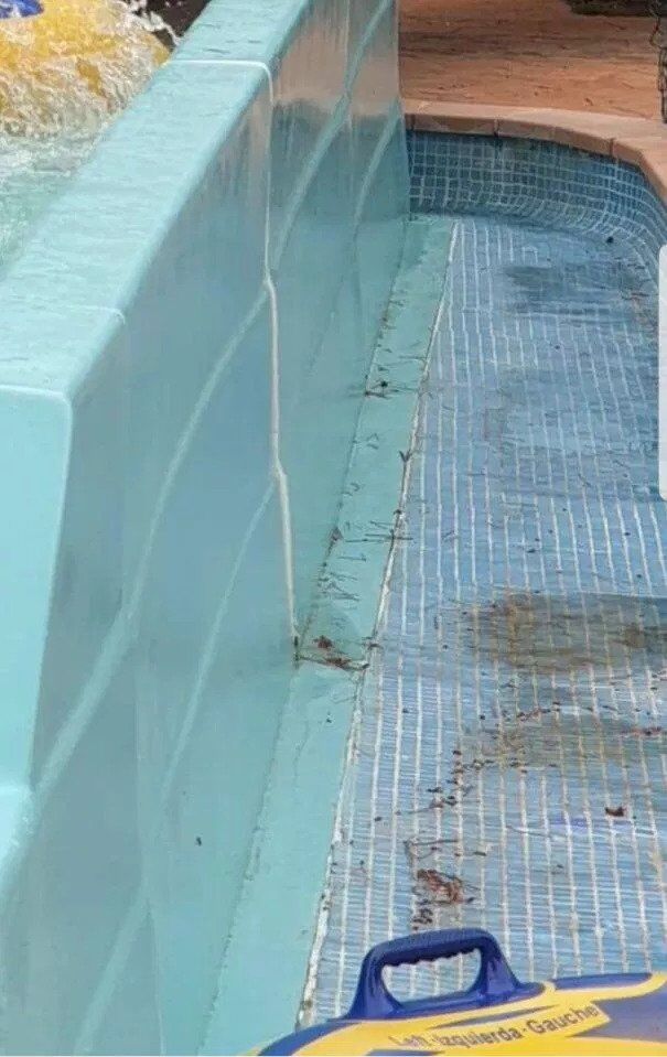 Сира курка і фекалії у басейні: туристка розповіла про жахи відпочинку на Менорці