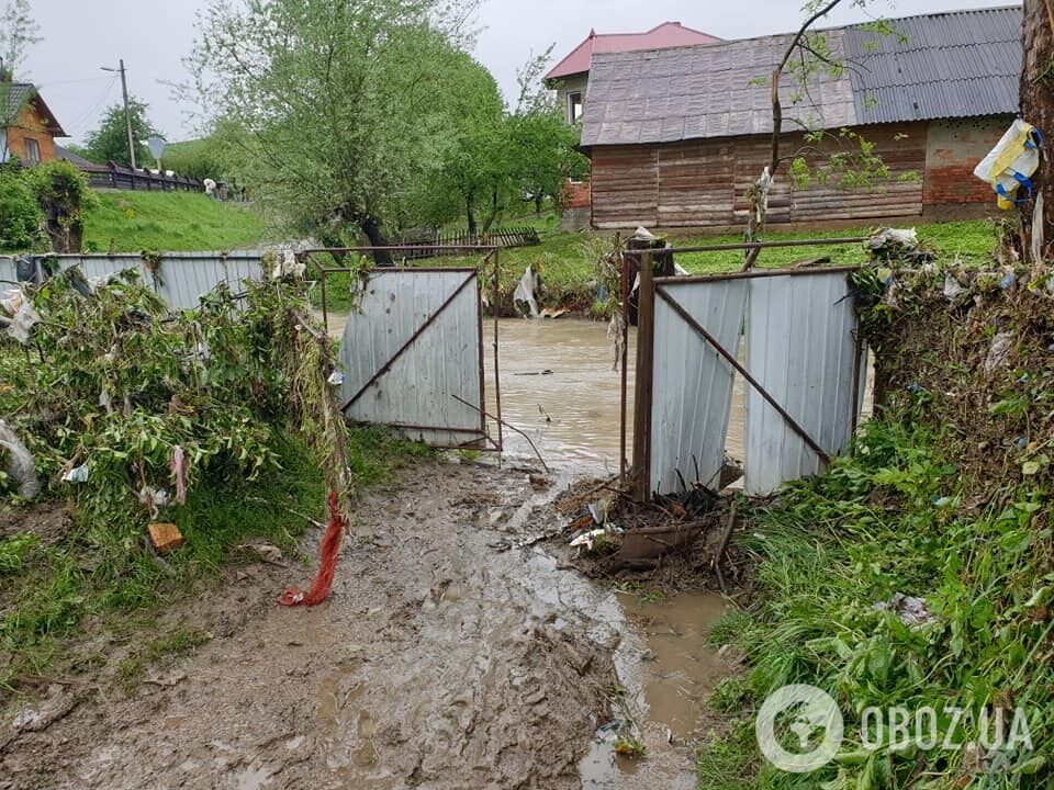 Село Гвизд Надворнянского района