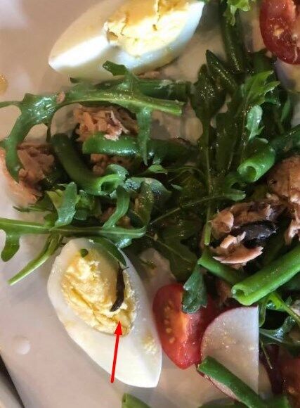 Комаха в салаті