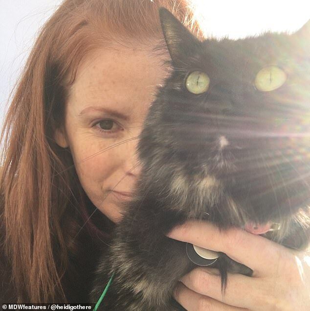 Жінка прокинулася в жаху: після нападу кішки її обличчя змінилося до невпізнання