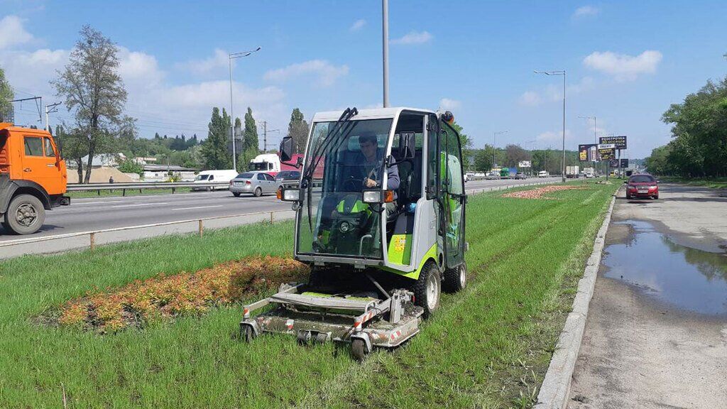 Чому в Києві гинуть дерева: у Зеленбуді назвали причини