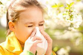 Популярное средство от сезонной аллергии подвергли сомнению
