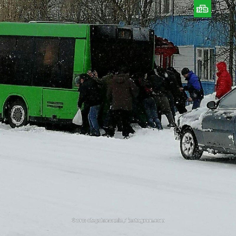 На Ямале выпал снег