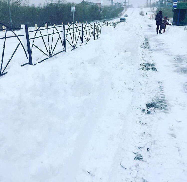 На Ямалі випав сніг