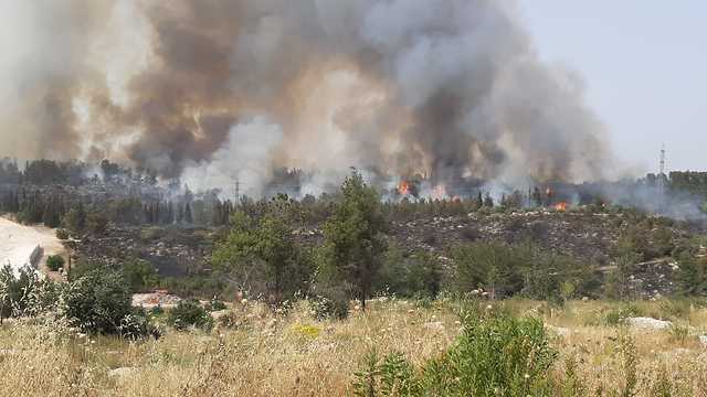 Пожар в Израиле