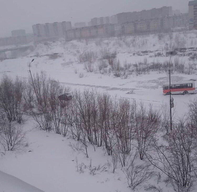 На Ямале выпал снег