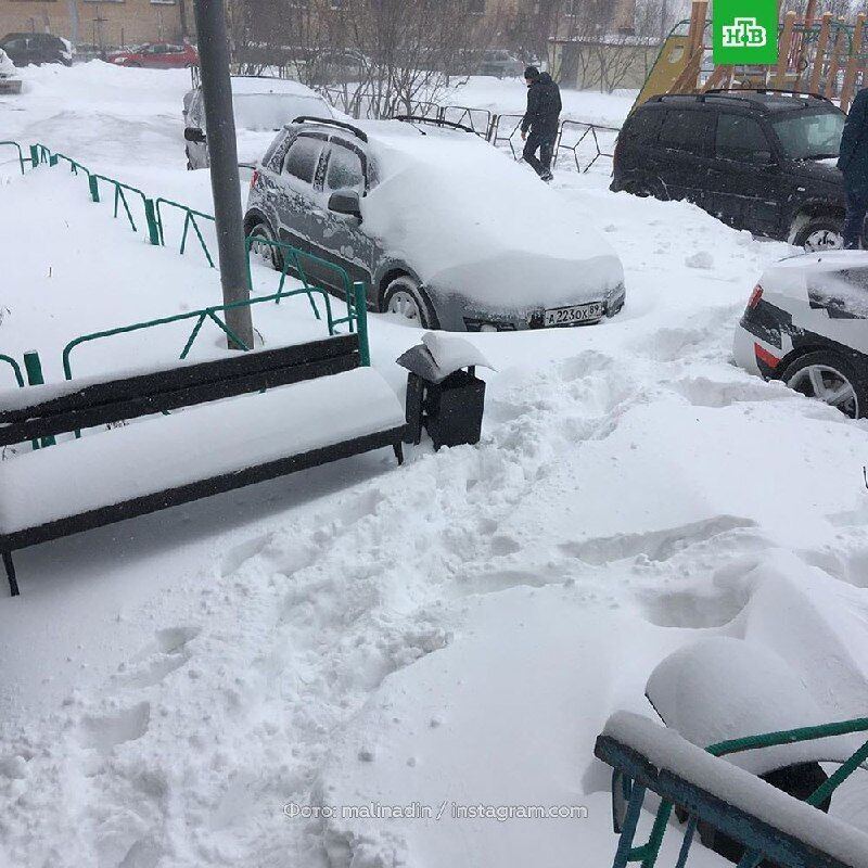 На Ямале выпал снег