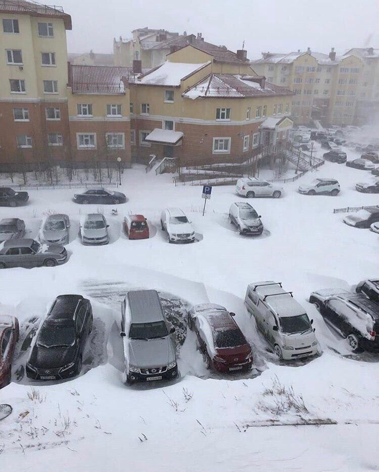На Ямалі випав сніг