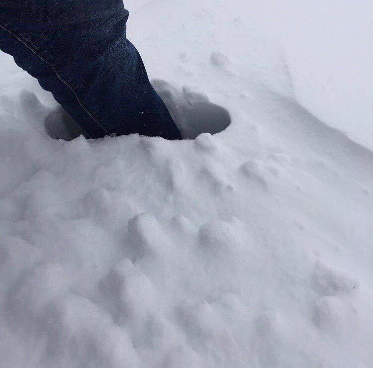 На Ямале выпал снег