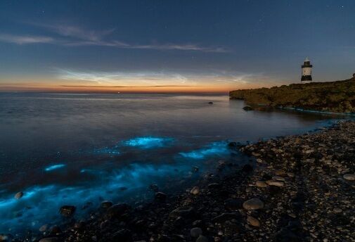 В Уэльсе фотографы запечатлели редкий светящийся планктон. И это потрясающе!