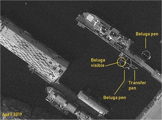 Секретную шпионскую базу России засекли из космоса