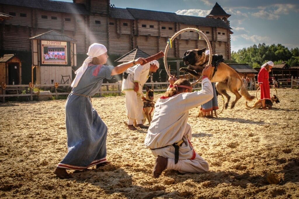 Под Киевом устроят средневековые маневры и покажут удивительных животных