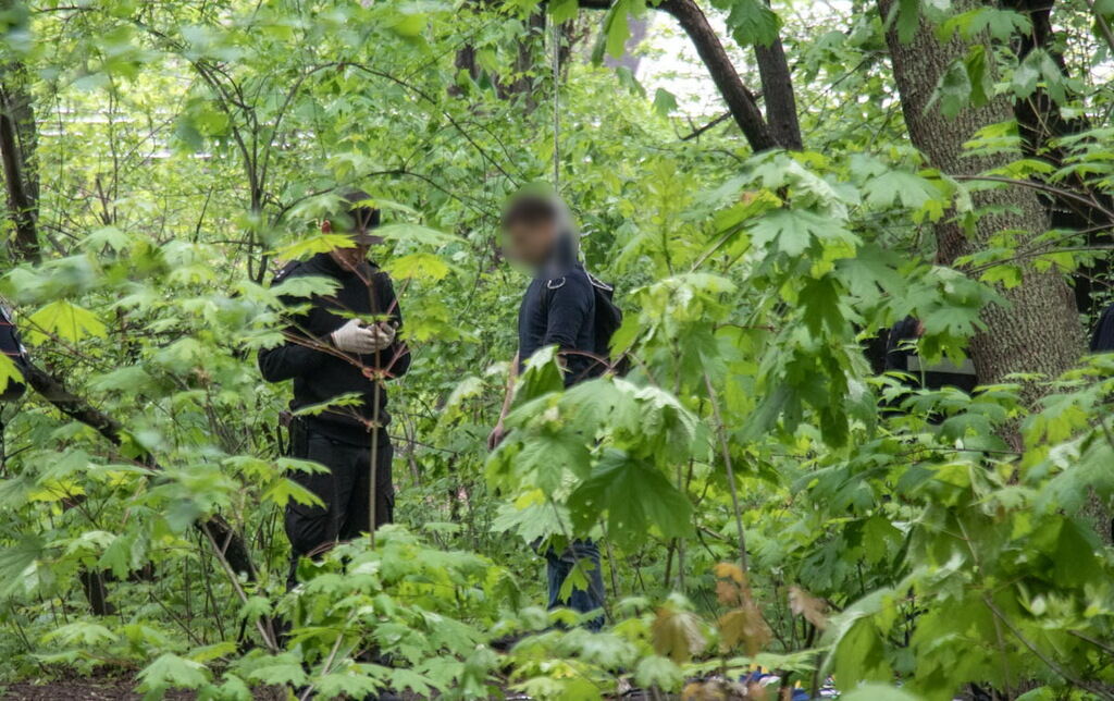 В Киеве нашли труп в парке