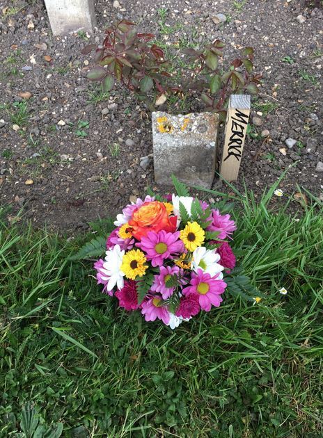 Спустя 130 лет поисков найдена могила человека-слона