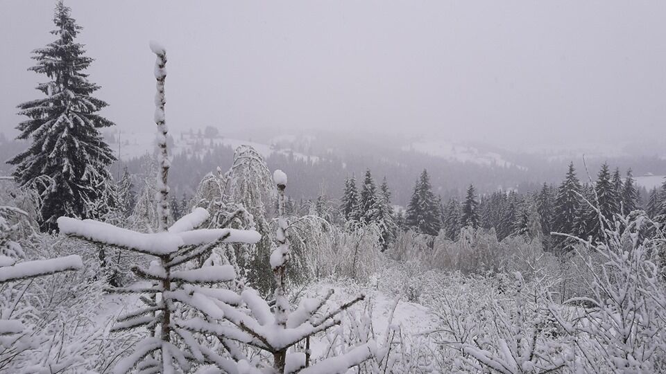 "Готуємо лижі!" В Україні раптово випав сніг
