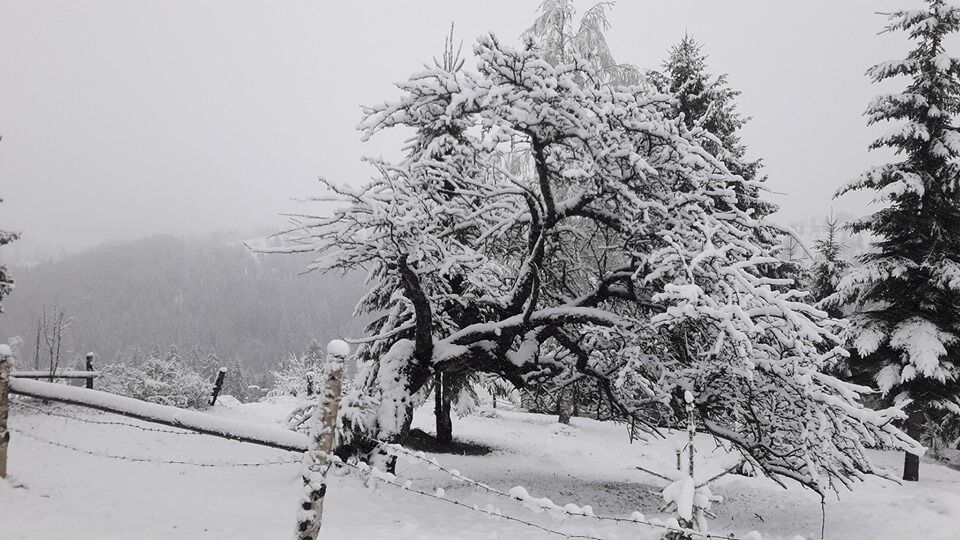 "Готуємо лижі!" В Україні раптово випав сніг