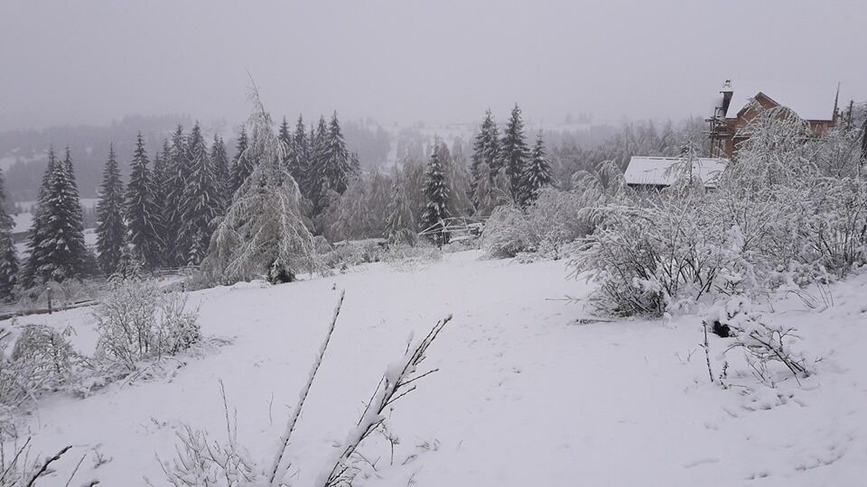  "Готовим лыжи!" В Украине внезапно выпал снег