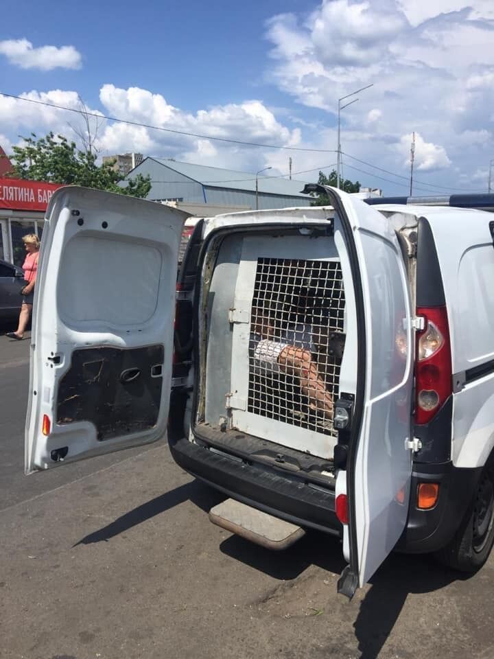 На Киевщине поймали банду угонщиков авто: все подробности