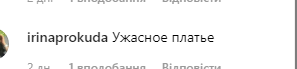 Лобода показала, что у нее под платьем: пикантное фото