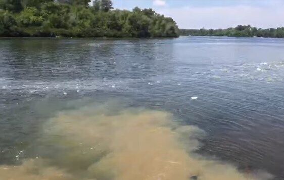 "Это треш!" В Киеве засекли слив сточной воды в реку